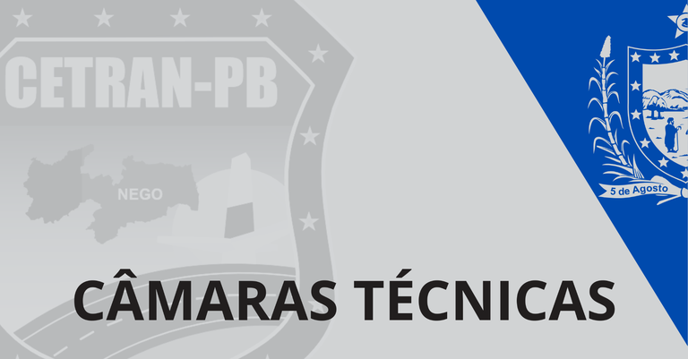 Câmaras Técnicas